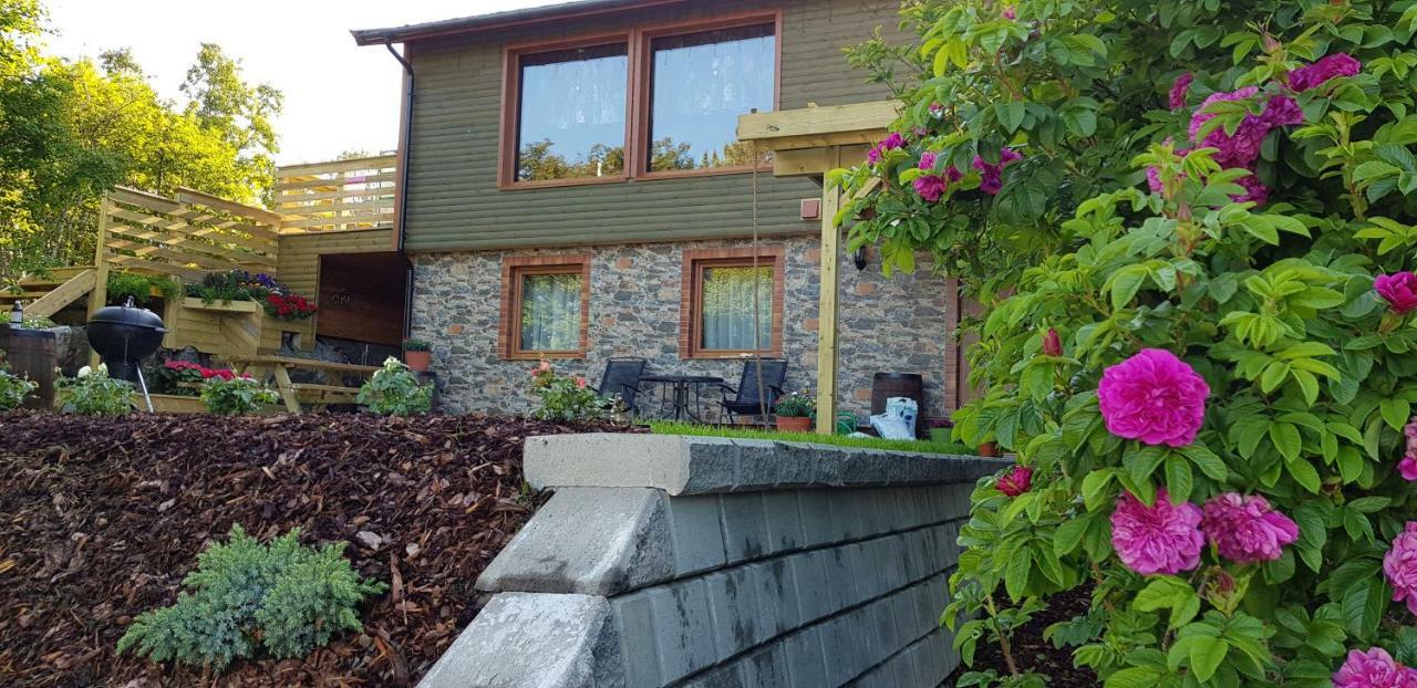 Kabelvåg Holiday House In Lofoten מראה חיצוני תמונה